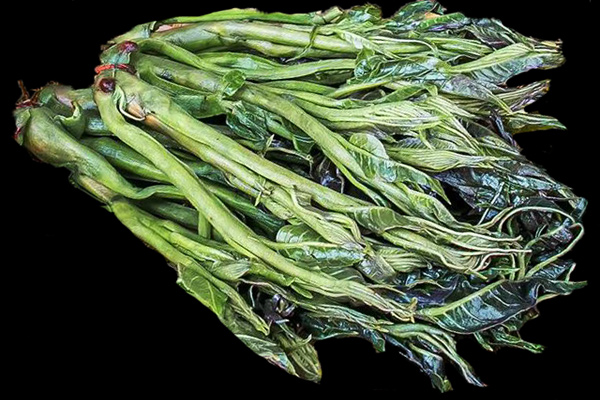 小口徑便攜式色差儀用于香椿嫩芽色澤的檢測